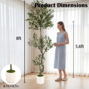 Version 1.0.0