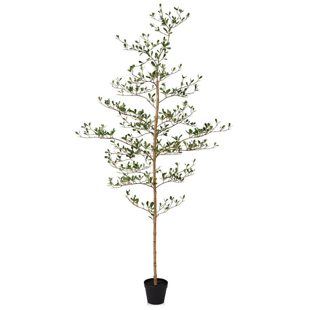 Black Olive Trees Artificial Indoor - 6ft Tall Fake Tree - Faux Floor Plants with Real Wood Trunk, Lifelike Foliage - Ideal