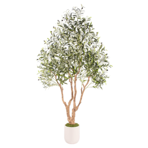 Custom Design 7FT Artificial Olive Tree with White Tall Planter, Large Faux Olive Tree with Thick Trunk