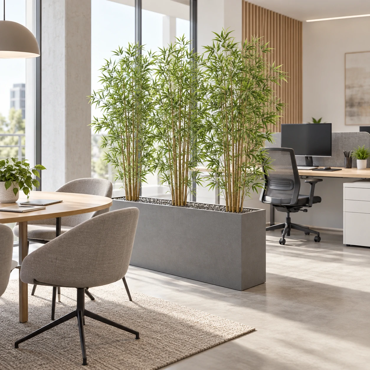 Artificial bamboo in a rectangular gray planter separating an office collaboration area from workstations.